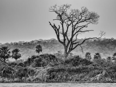 BR/MT – Cáceres – Pantanal – 2015